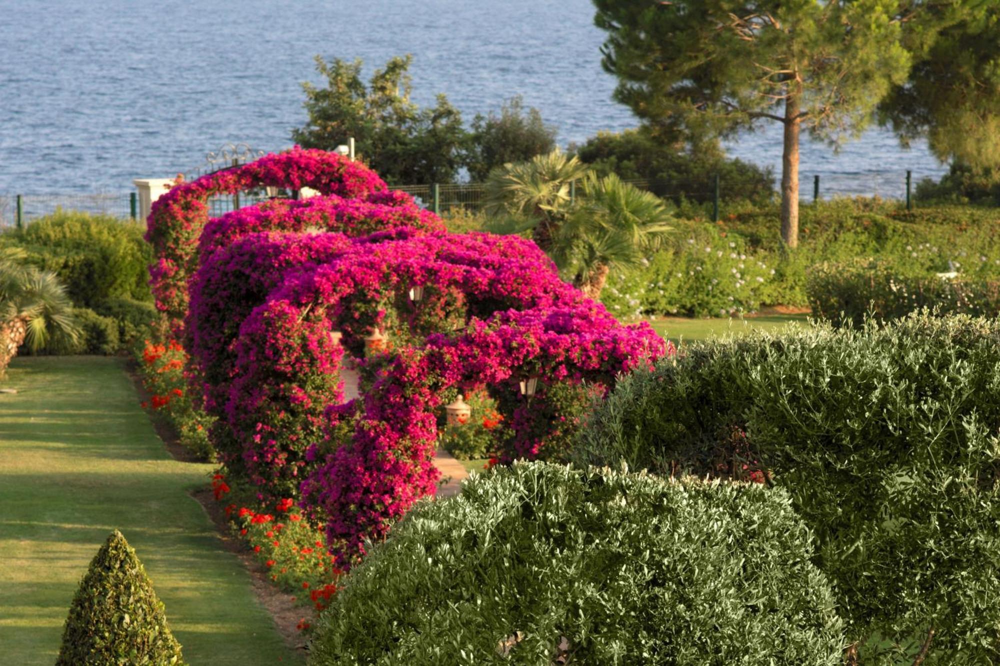 Station touristique The St. Regis Mardavall Mallorca 5*